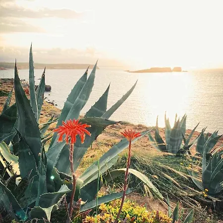 Apartamento Casa Biota *