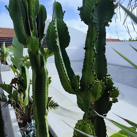 Casa Biota サグレス