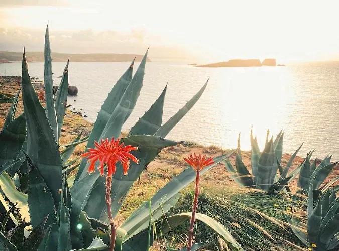 Apartamento Casa Biota *