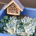 Casa Biota 아파트 사그레스
