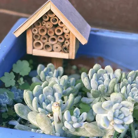 Casa Biota Apartamento Sagres