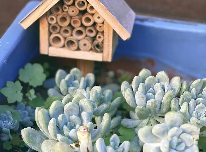 Casa Biota Апартаменты Сагреш