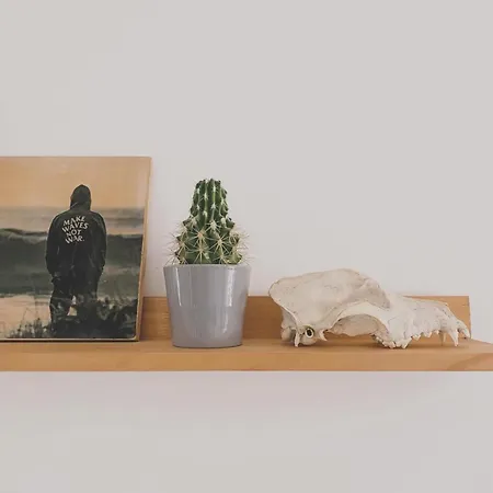 Casa Biota *